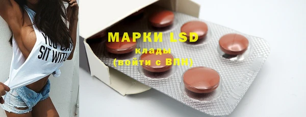 PSILOCYBIN Сатка