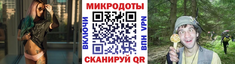 купить наркотики сайты  Урай  OMG как зайти  Псилоцибиновые грибы Cubensis 