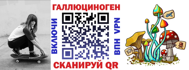 Галлюциногенные грибы Psilocybine cubensis Урай