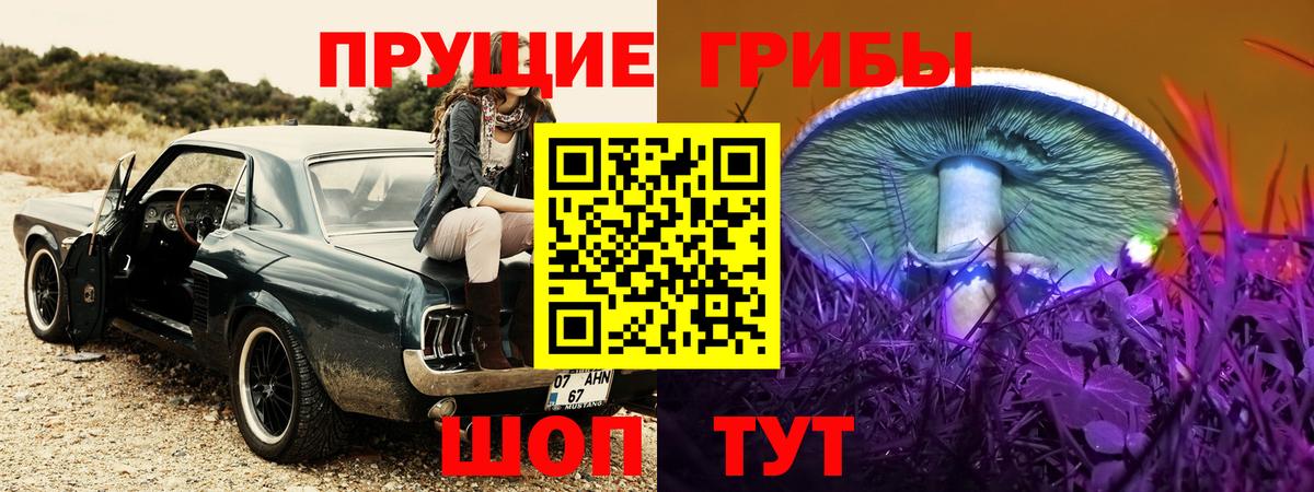 Псилоцибиновые грибы прущие грибы  Вход с VPN  Урай  Псилоцибиновые грибы мицелий 